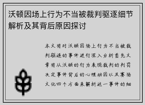 沃顿因场上行为不当被裁判驱逐细节解析及其背后原因探讨