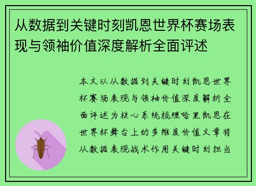 从数据到关键时刻凯恩世界杯赛场表现与领袖价值深度解析全面评述